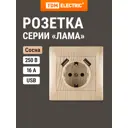 Розетка встраиваемая Tdm electric Лама SQ1815-0342 с заземлением 2 USB цвет сосна