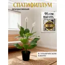 Искусственное дерево Спатифиллум 95 см в техническом кашпо 223120211