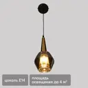 Светильник подвесной FR8008PL-01GB 1 лампа 2 м² цвет зеркально дымчатый