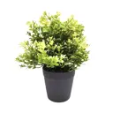 Искусственное растение в горшке Самшит h10 см