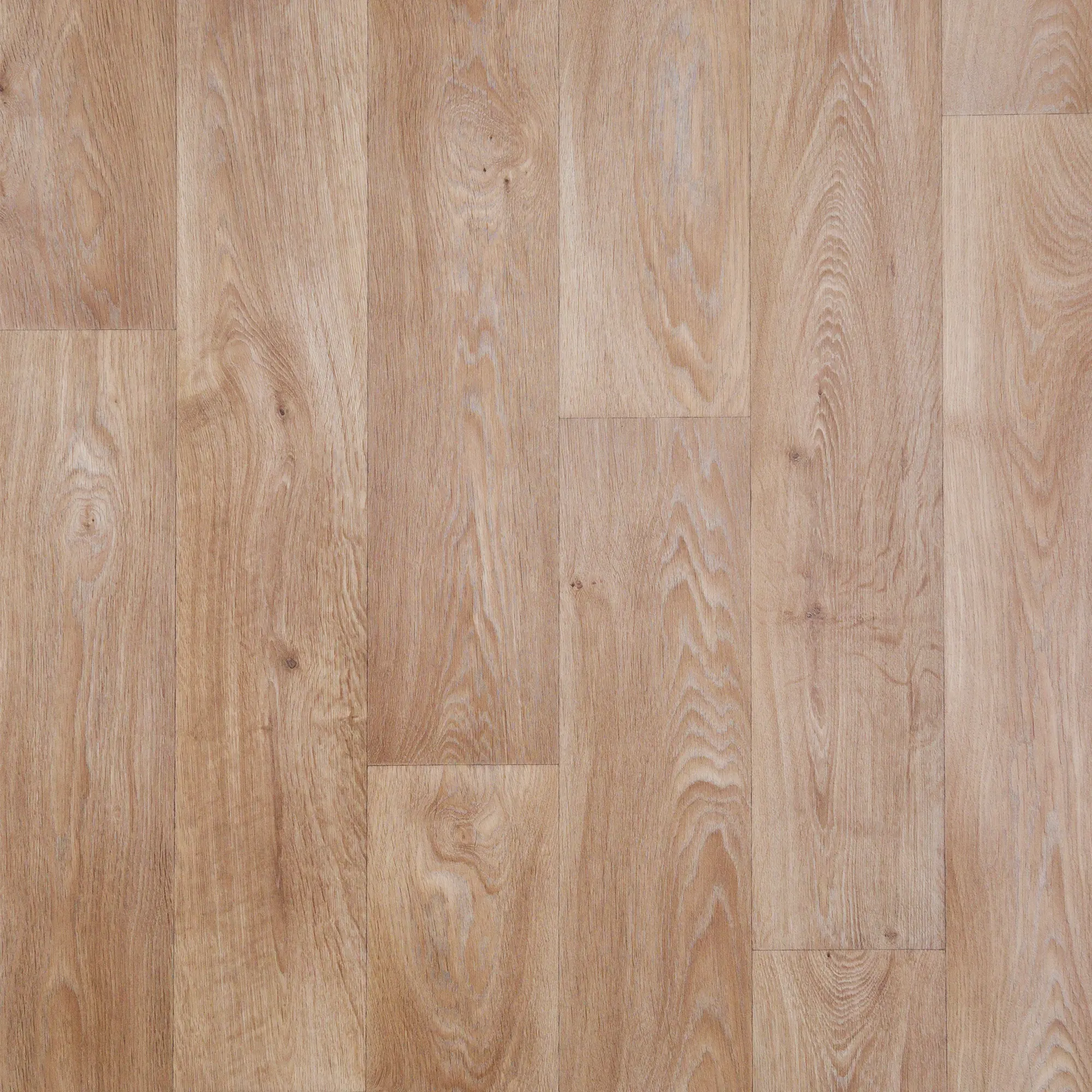 Изображение товара Линолеум Дуб Салермо 31 класс 3.5 м