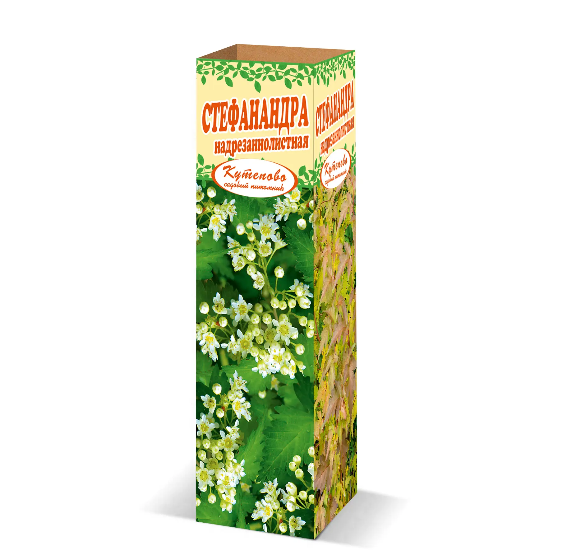 Изображение товара Стефанандра микс в тубе Кутепово