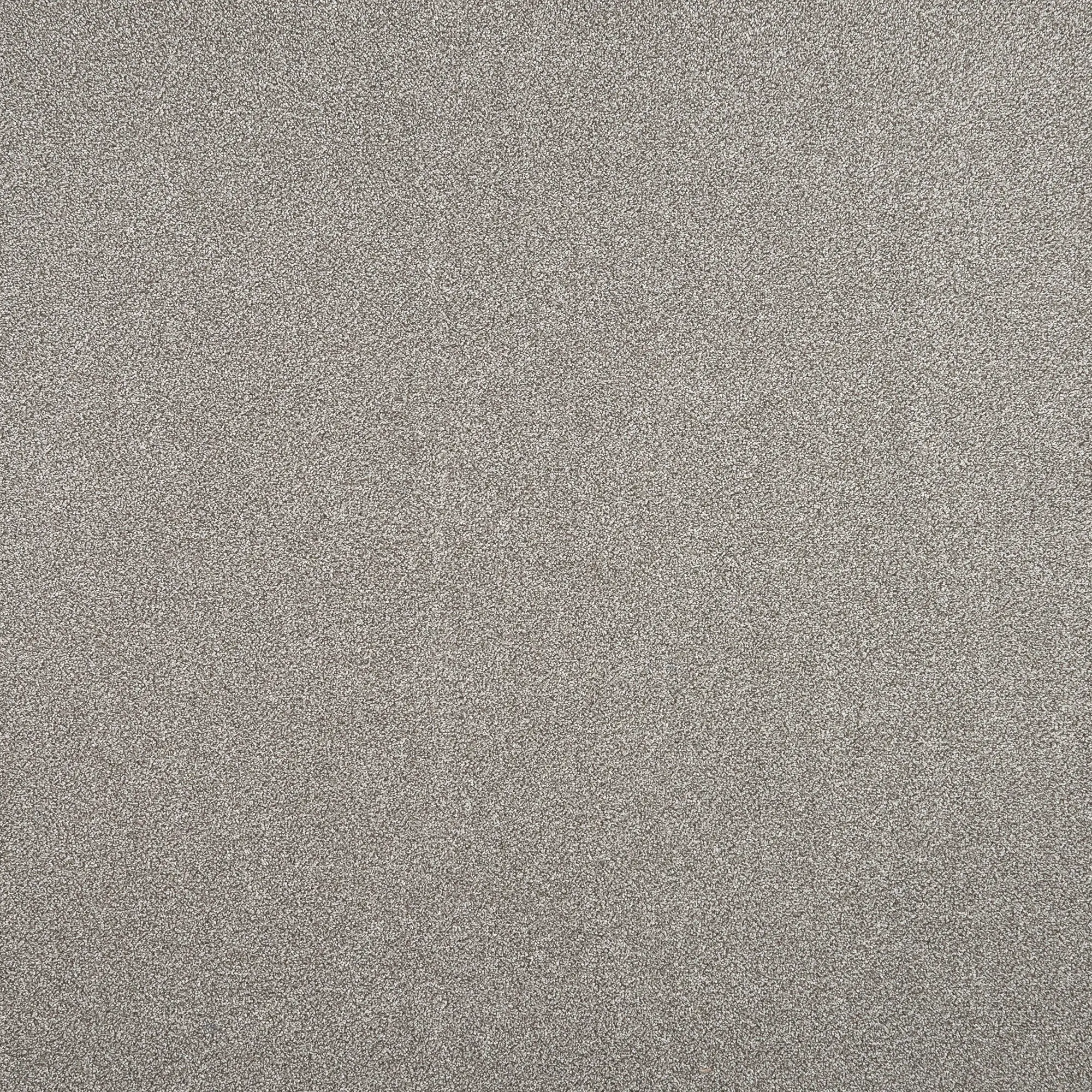 Изображение товара Ковровое покрытие Парадиз 580 3 м жемчуг синтетический ворс насыщенный стильный дизайн