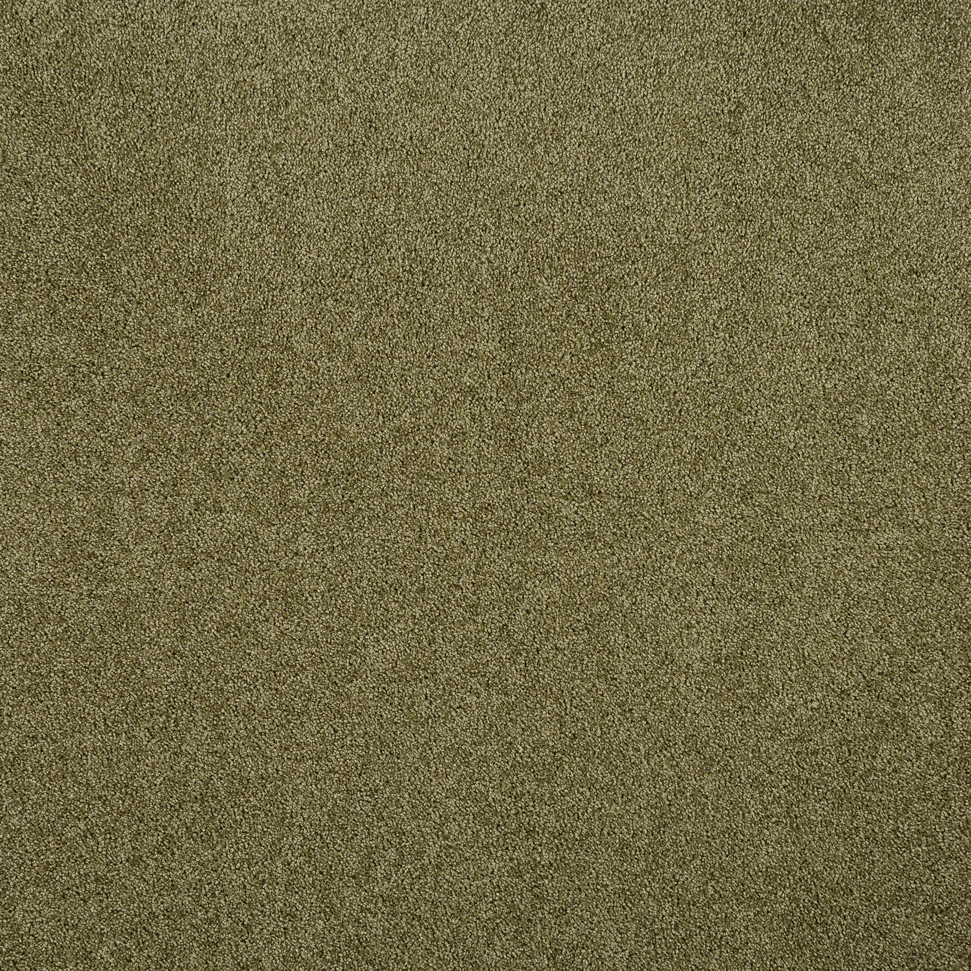 Изображение товара Ковровое покрытие «Флорида», 3.5 м, цвет светло-оливковый