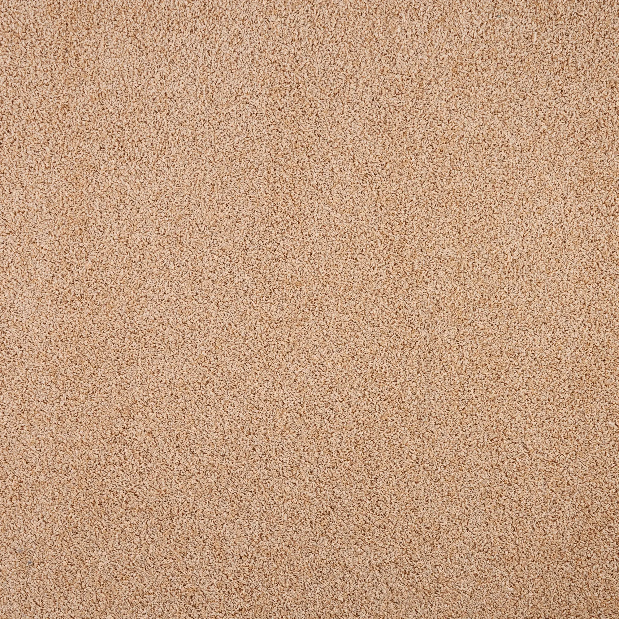 Изображение товара Ковровое покрытие «Глория», 3 м, цвет персик