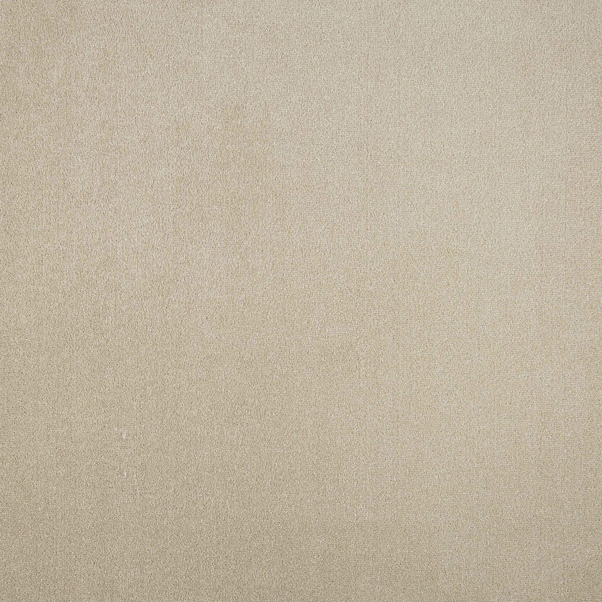 Изображение товара Ковровое покрытие ворсистое Парадиз 590 3 м бежевый для жилых помещений