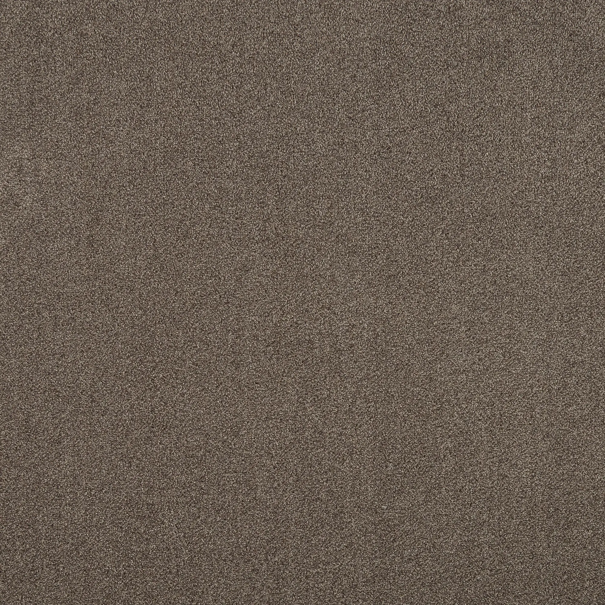 Изображение товара Ковровое покрытие ворсистое «Парадиз 570» ворсовое 3 м цвет капучино