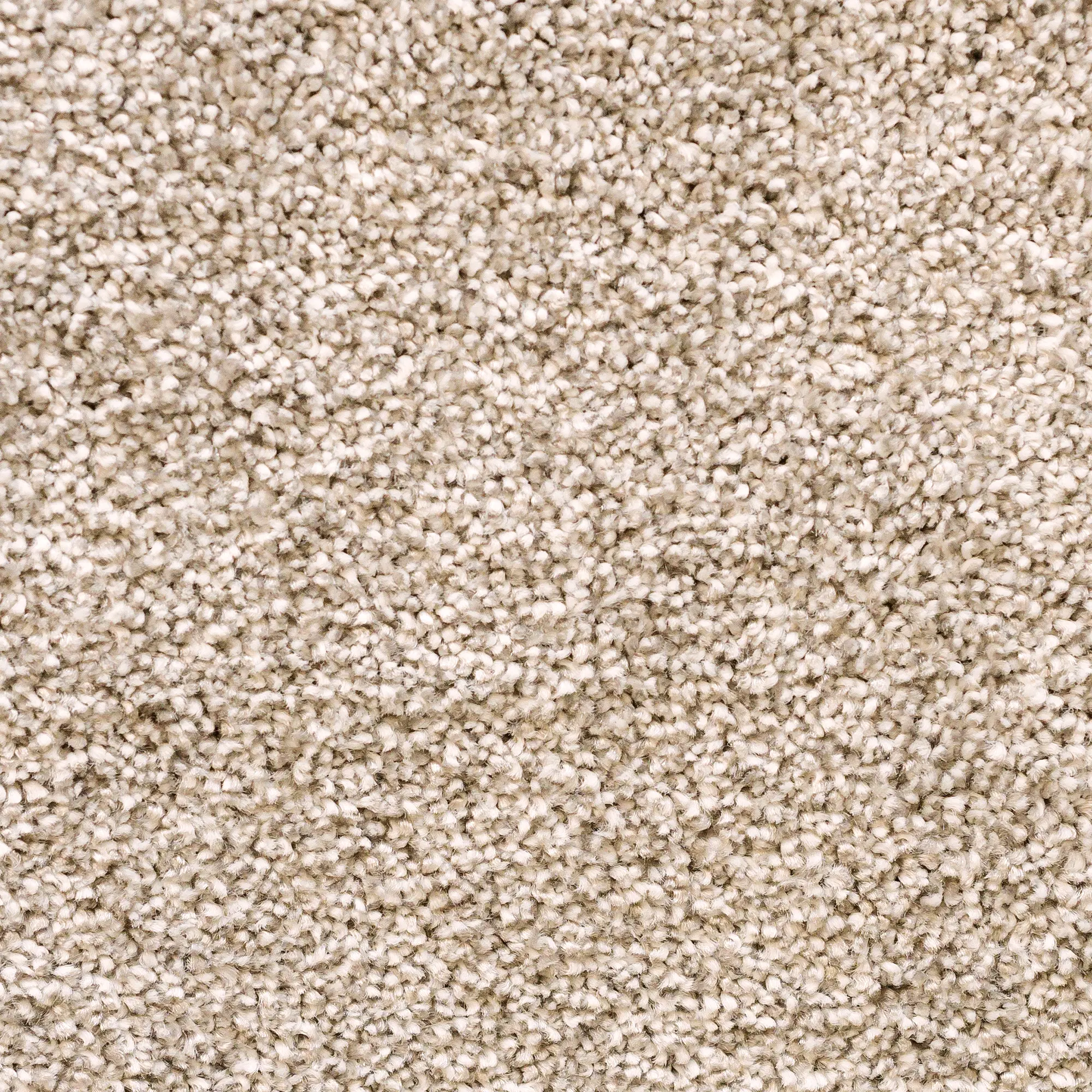 Изображение товара Ковровое покрытие ворсистое «Парадиз 580» ворсовое 3 м цвет жемчуг