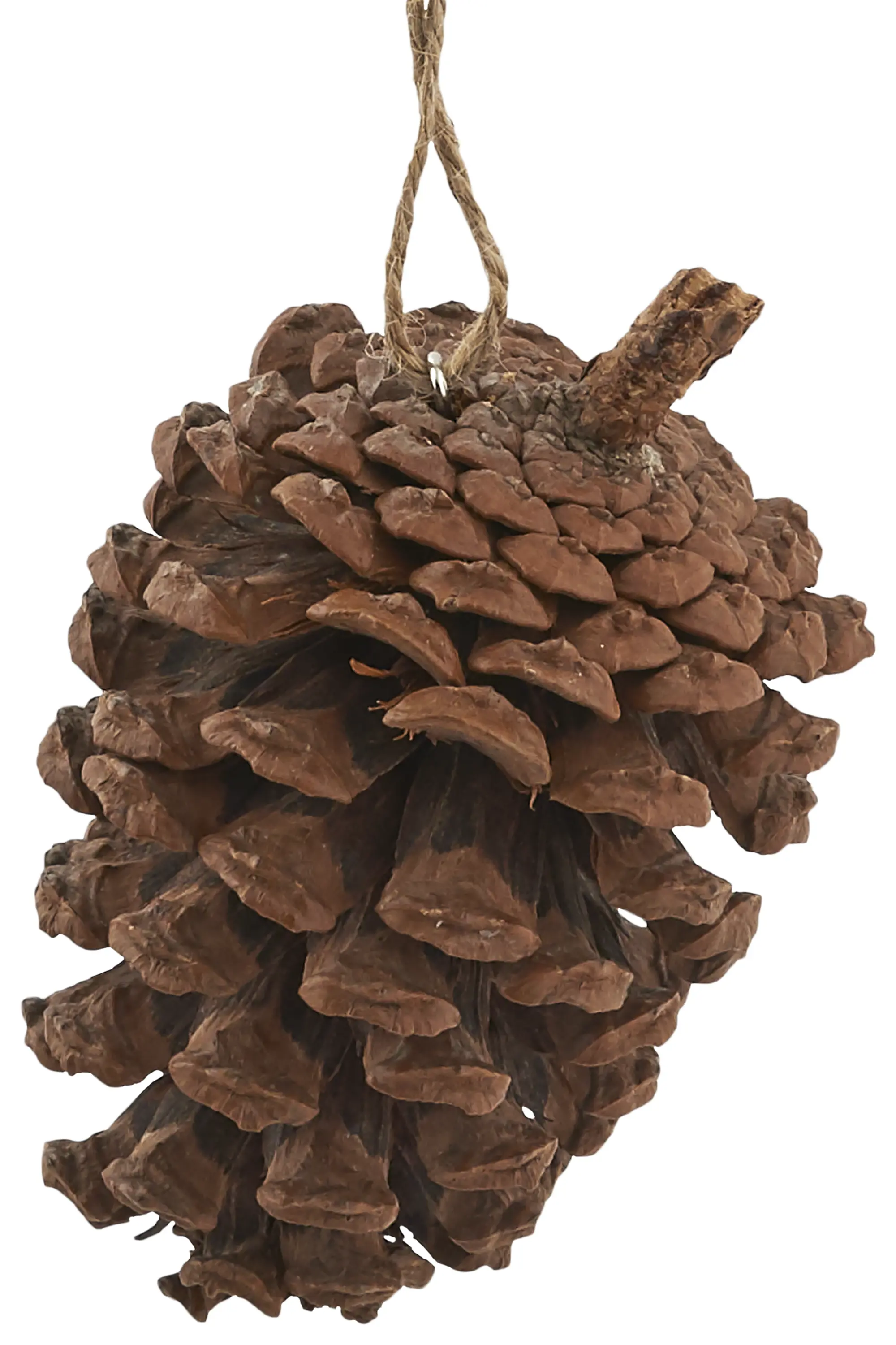 Изображение товара Украшение ёлочное «Шишка», 6-8 см, цвет коричневый