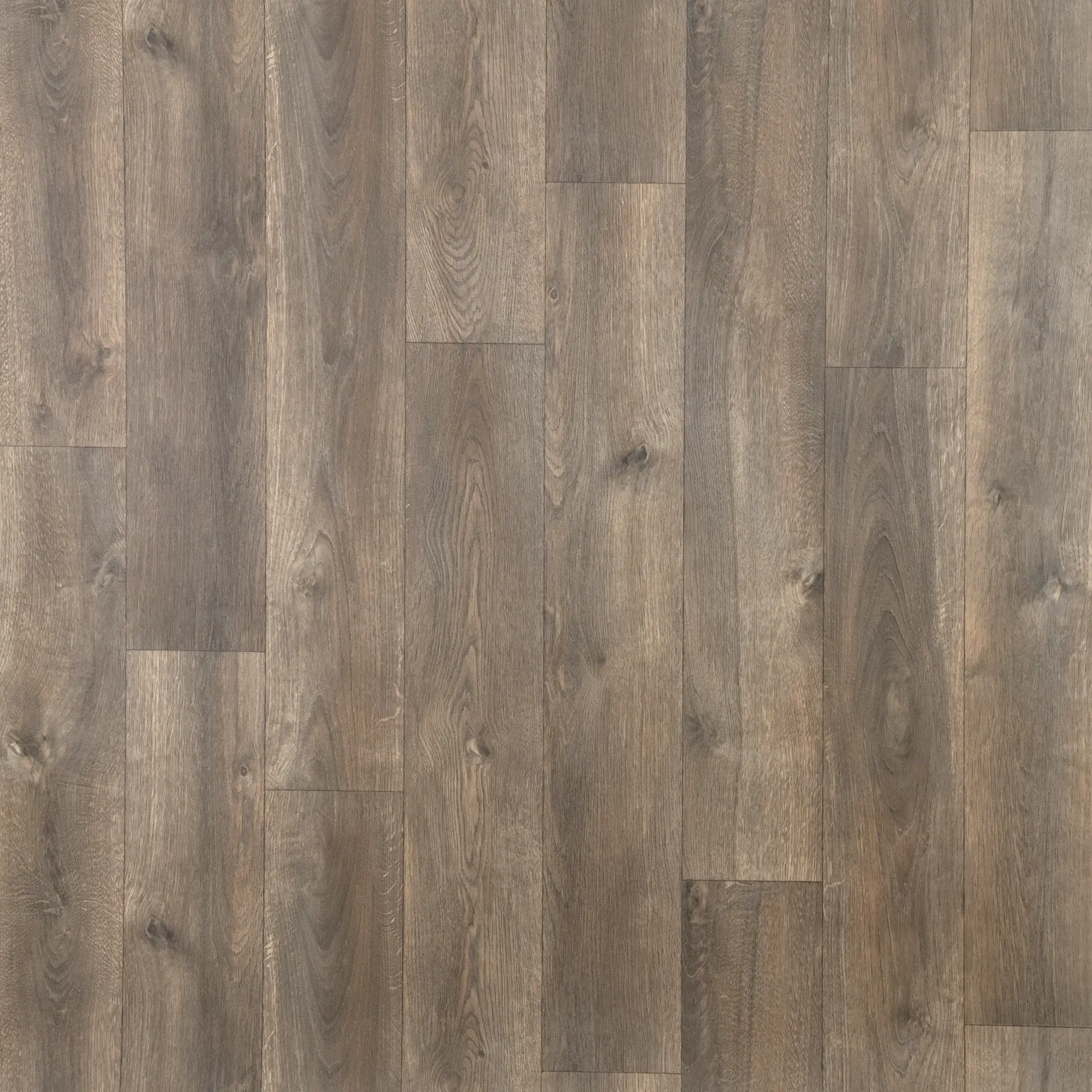 Изображение товара Линолеум Дуб Браун 31 класс 2.5 м для дома и офиса