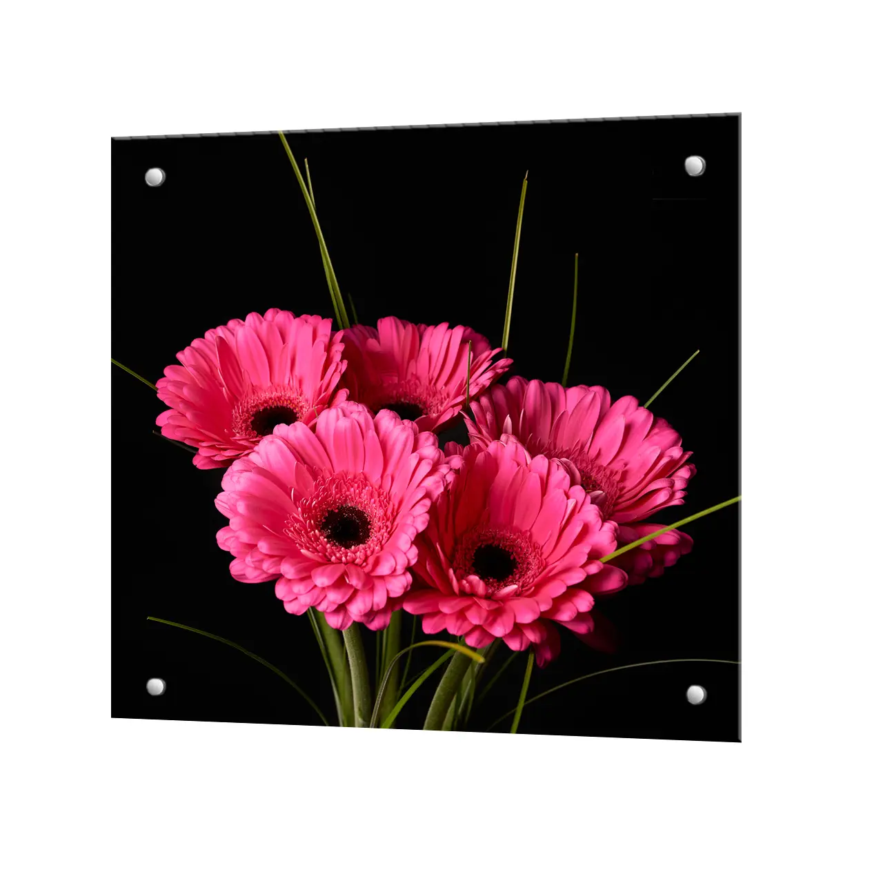 Изображение товара Защитный экран Borntoprint Герберы 60x50x0.4 см из закаленного стекла с фотопечатью