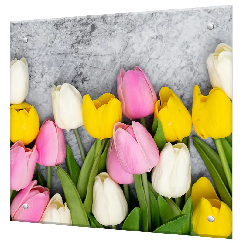 Изображение товара Защитный экран Borntoprint Тюльпаны 50x50 см закаленное стекло для кухни