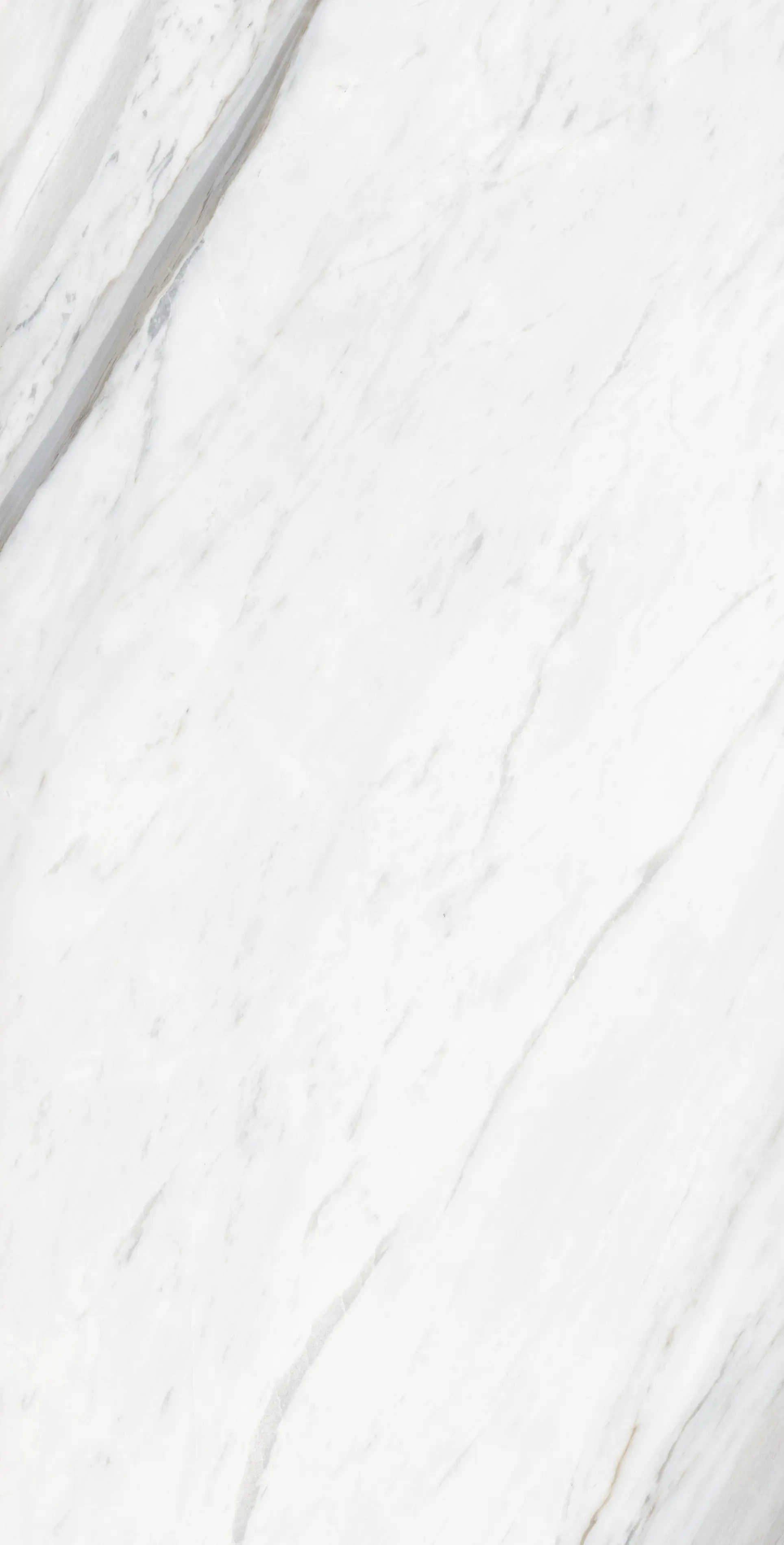 Изображение товара Керамогранит Global tile Calacatta Belgia_GT GT120606203PR 60x120см 1.44 м² цвет белый, цена за упаковку