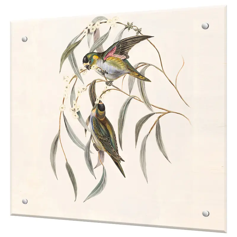 Изображение товара Декоративный кухонный фартук Borntoprint Две птицы 60x50x4 см закаленное стекло цвет прозрачный