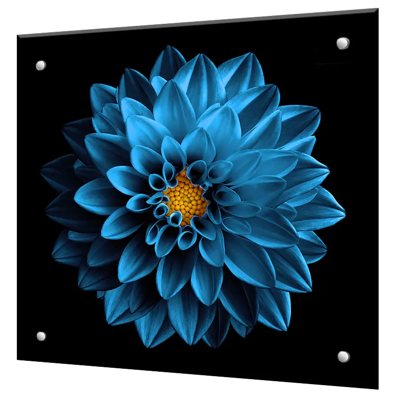 Изображение товара Стеновая панель Borntoprint Синие цветы 500x500x0.4 см закаленное стекло цвет прозрачный