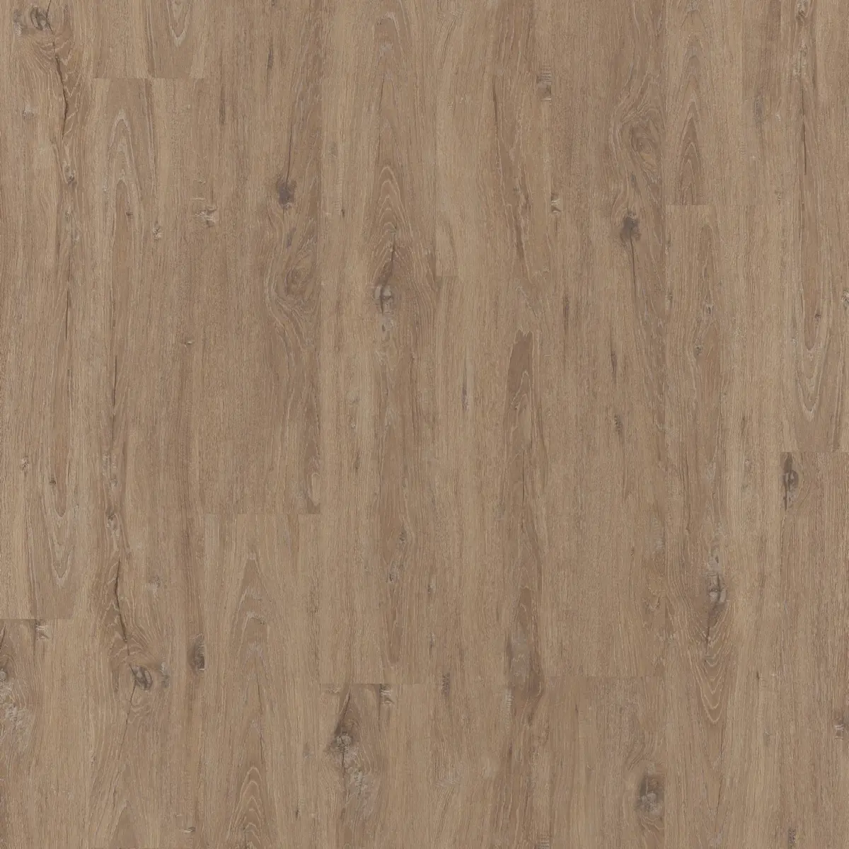 Изображение товара Ламинат Egger Classic Дуб Ла-Манча 8 мм 33 класс влагостойкий, 19.3x129.2 см