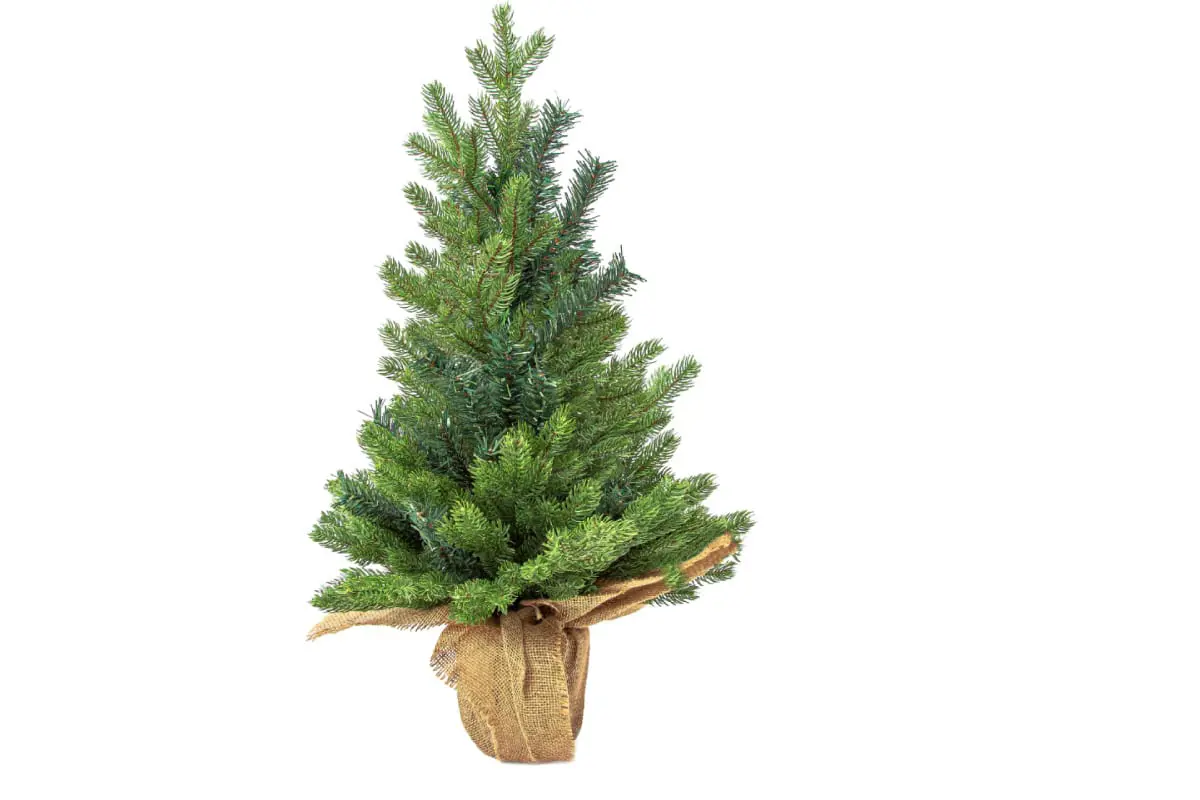 Изображение товара Ель новогодняя искусственная Royal christmas 977090 Spitsbergen table 90 см