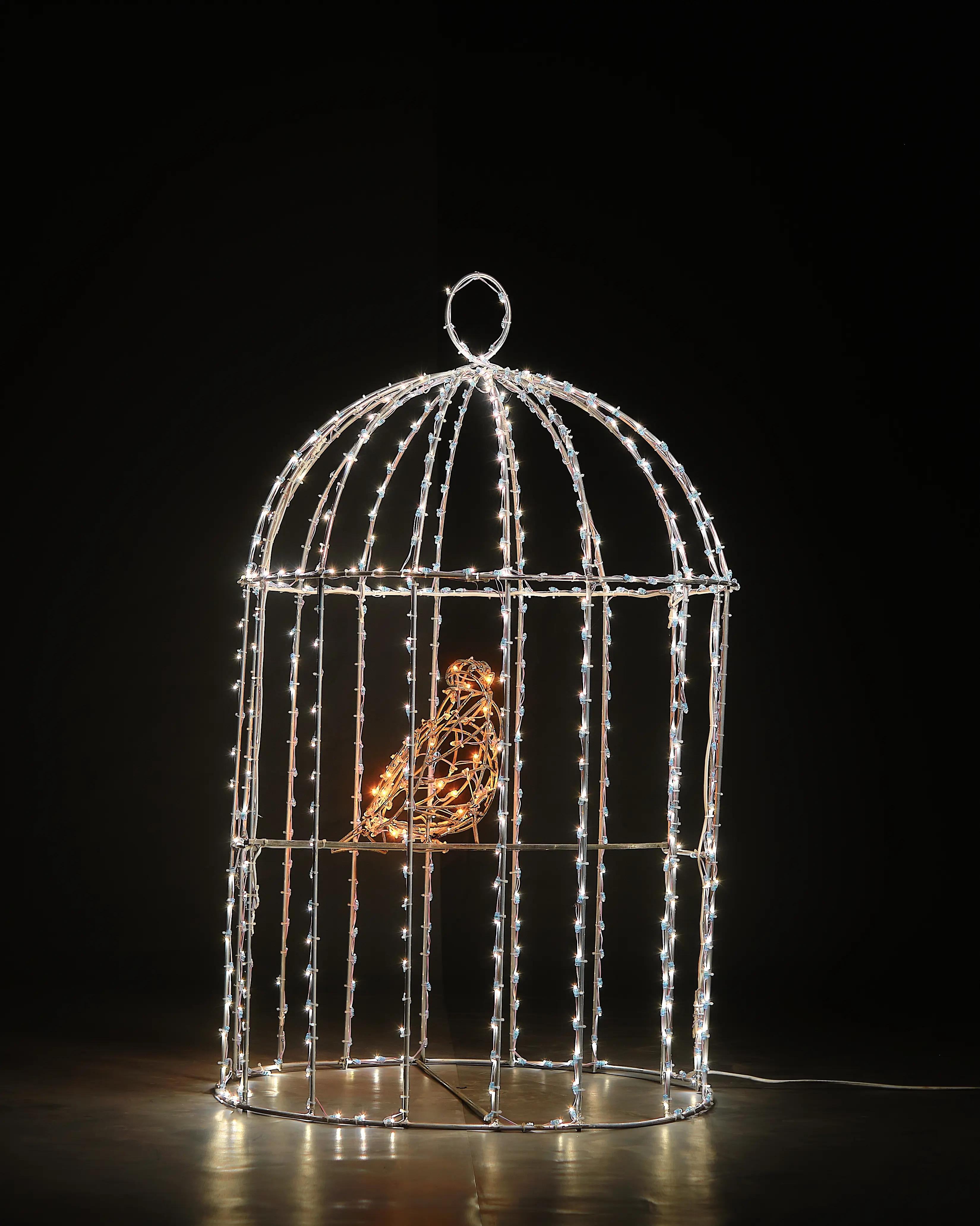 Изображение товара Электрическая светящиеся фигура Птица в клетке 100 LED 60x100x60 см теплый белый свет