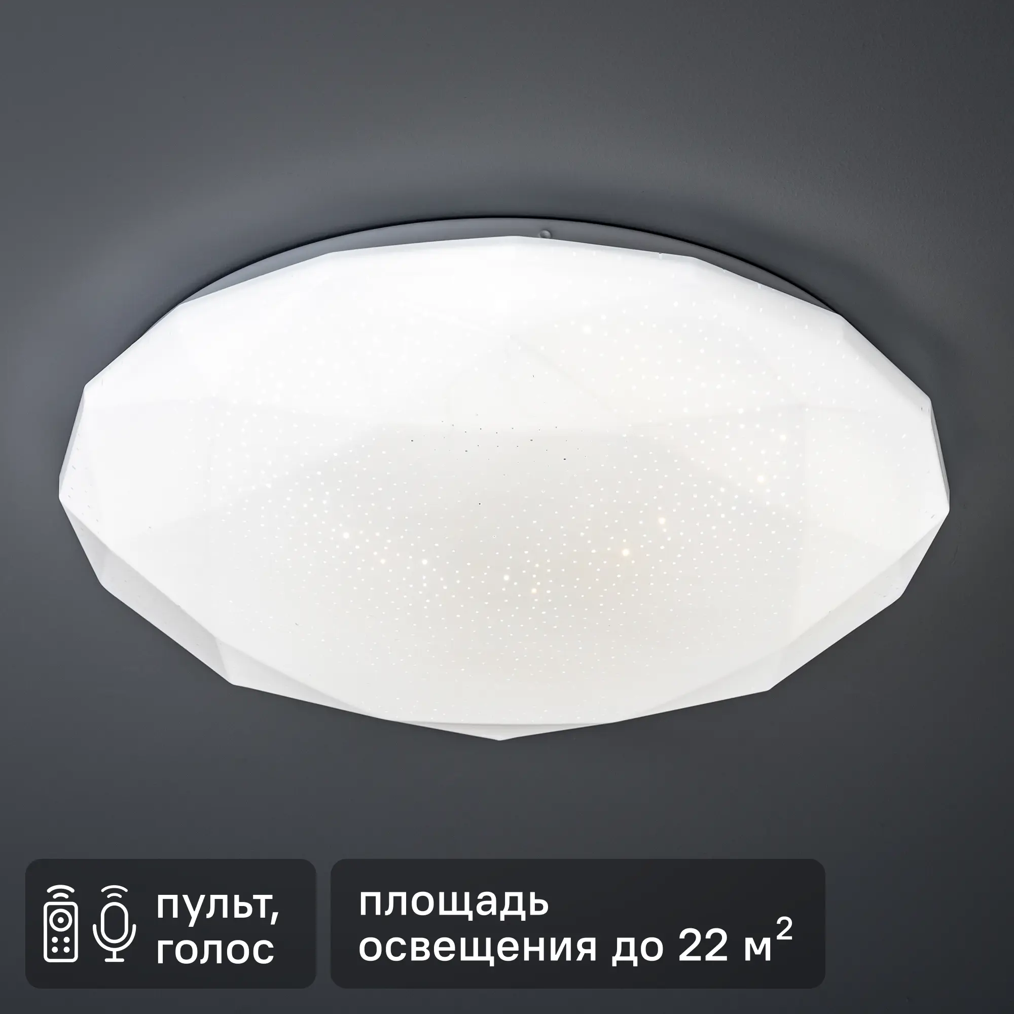 Изображение товара Светильник настенно-потолочный светодиодный Ritter Brilliance 60Вт диммируемый