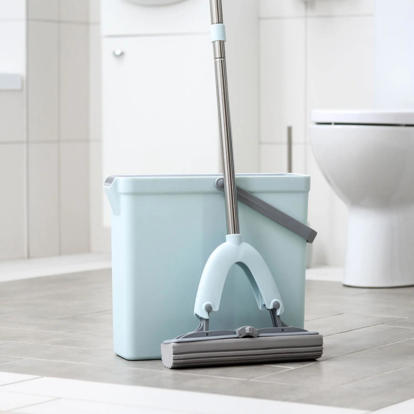 Изображение товара Набор для уборки RACCOON 4933897