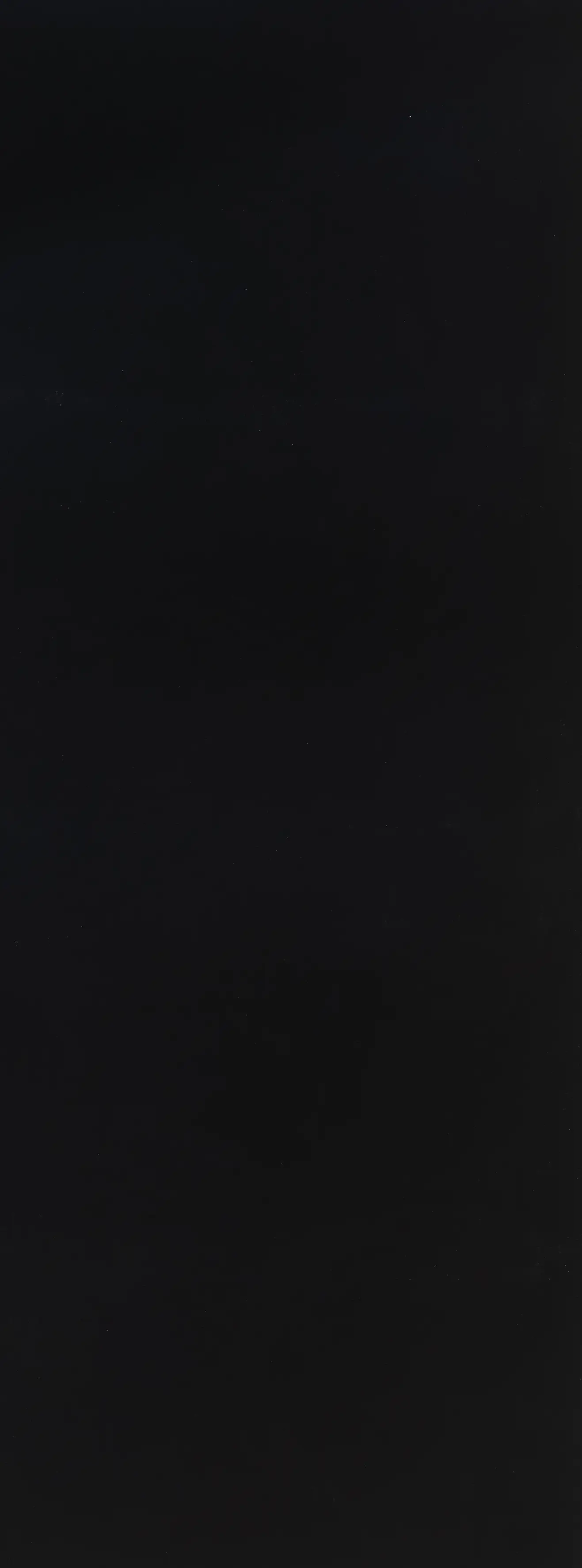 Изображение товара Панель МДФ Стильный дом гладкий черный 2440x920x3мм