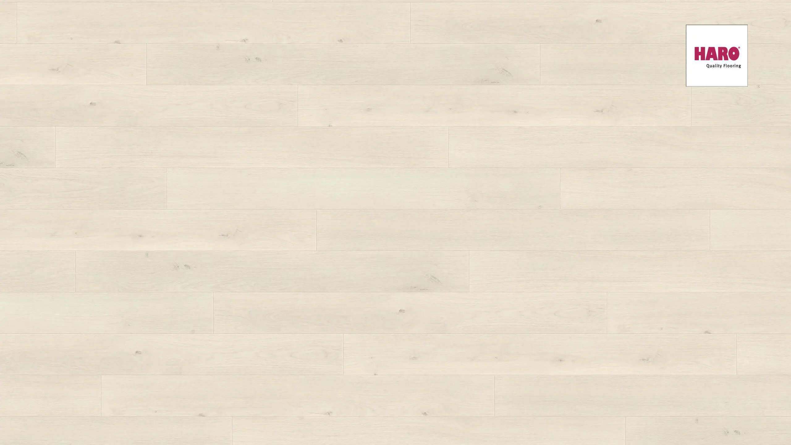 Изображение товара Ламинат Haro Дуб Эмилия Белый 32 класс толщина 8 мм с фаской 1.38 м²