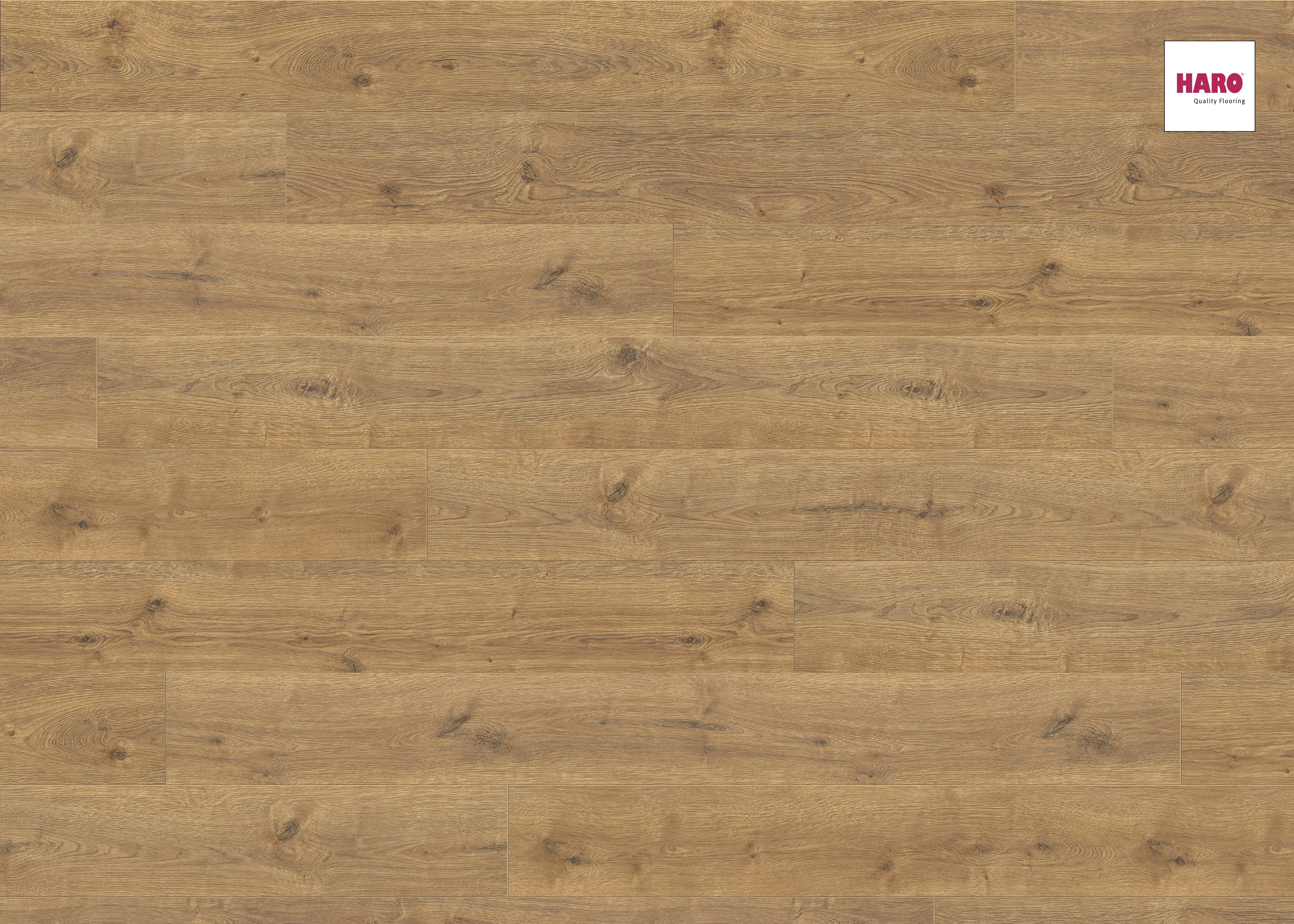 Изображение товара Ламинат Haro Дуб Портлэнд Натур 8 мм 32 класс фаска 4V, Германия