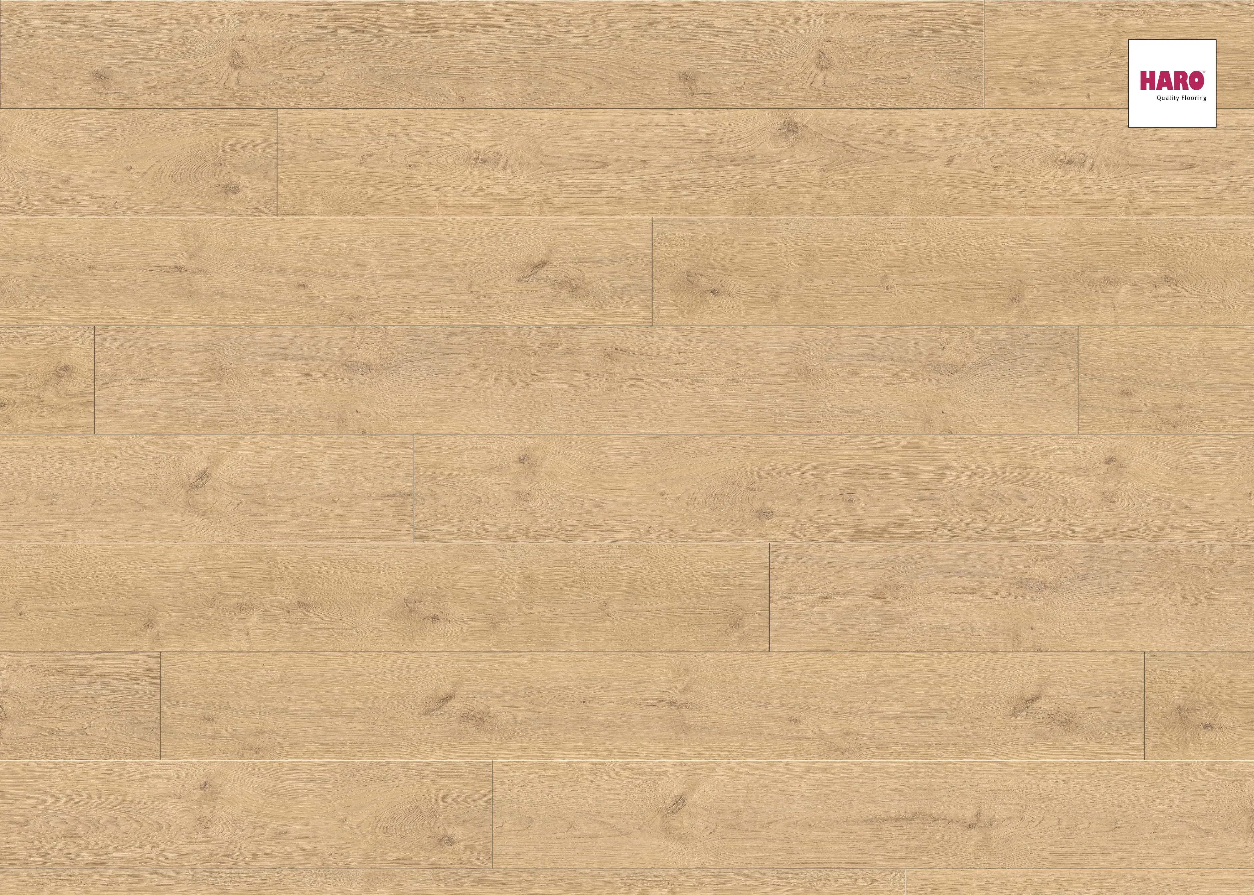 Изображение товара Ламинат Haro Дуб Портлэнд Пуро 32 класс, 8 мм, с фаской, 2.68 м²