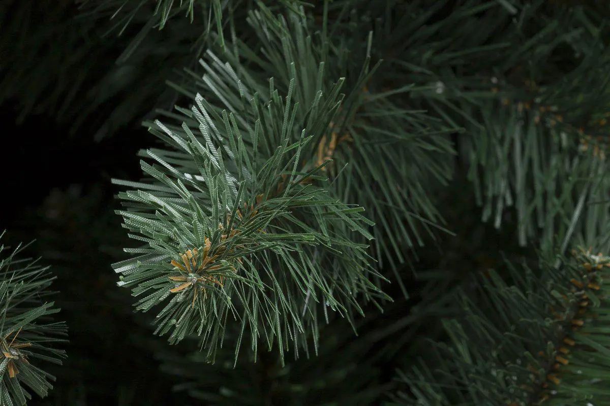 Изображение товара Искусственная ель Merry Green BRG/210 ПВХ 210 см