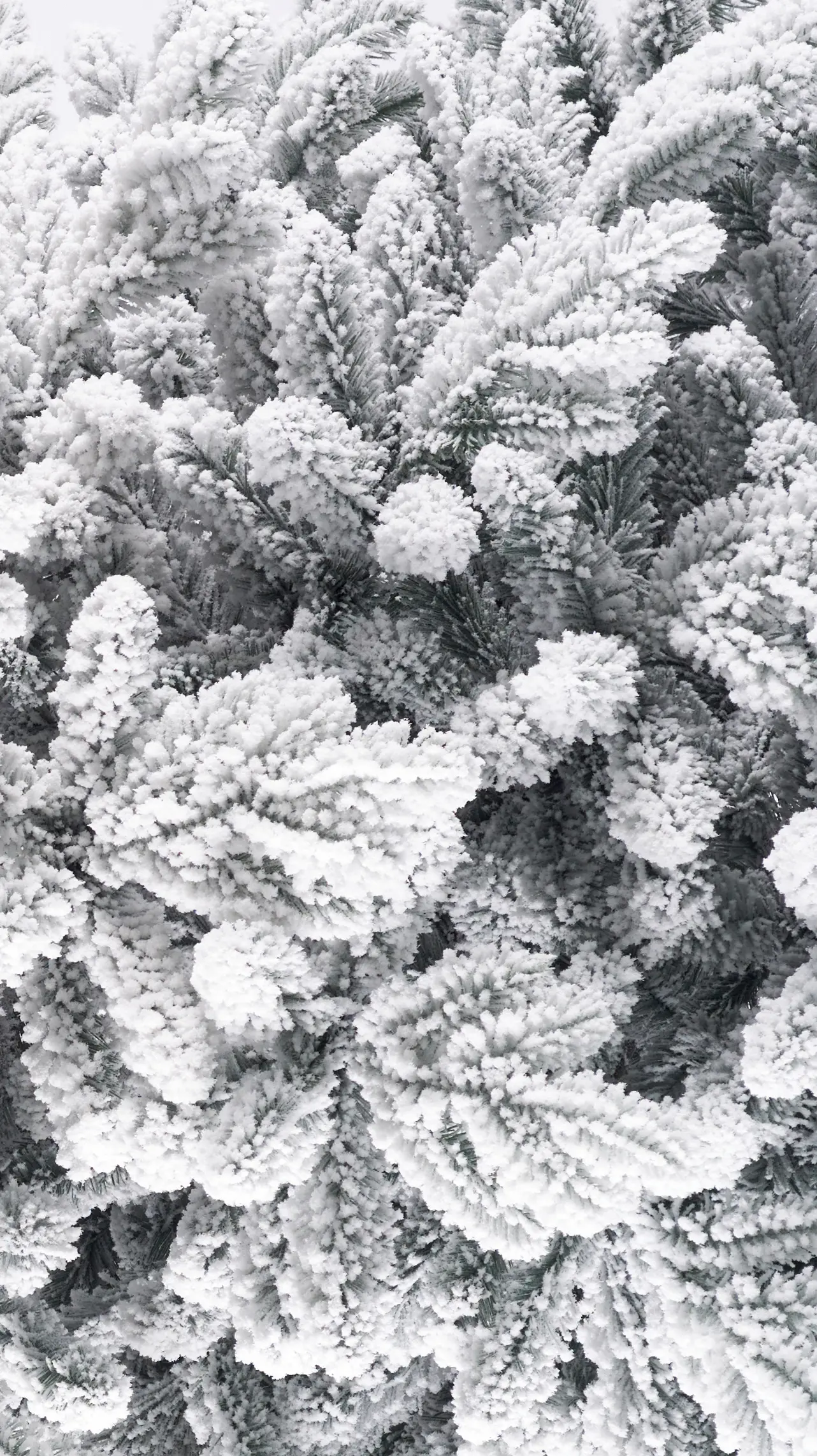 Изображение товара Ель новогодняя искусственная Max Christmas ЕЗАС 15 Арктика заснеженная 150 см