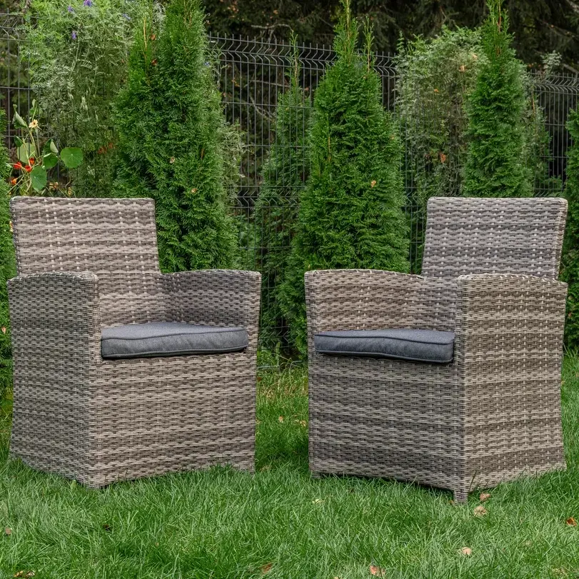 Изображение товара Кресло садовое Royal family 99-71-71-2 FIONA 60 см x 58 см x 89 см искусственный ротанг серый/серебристый 2 шт