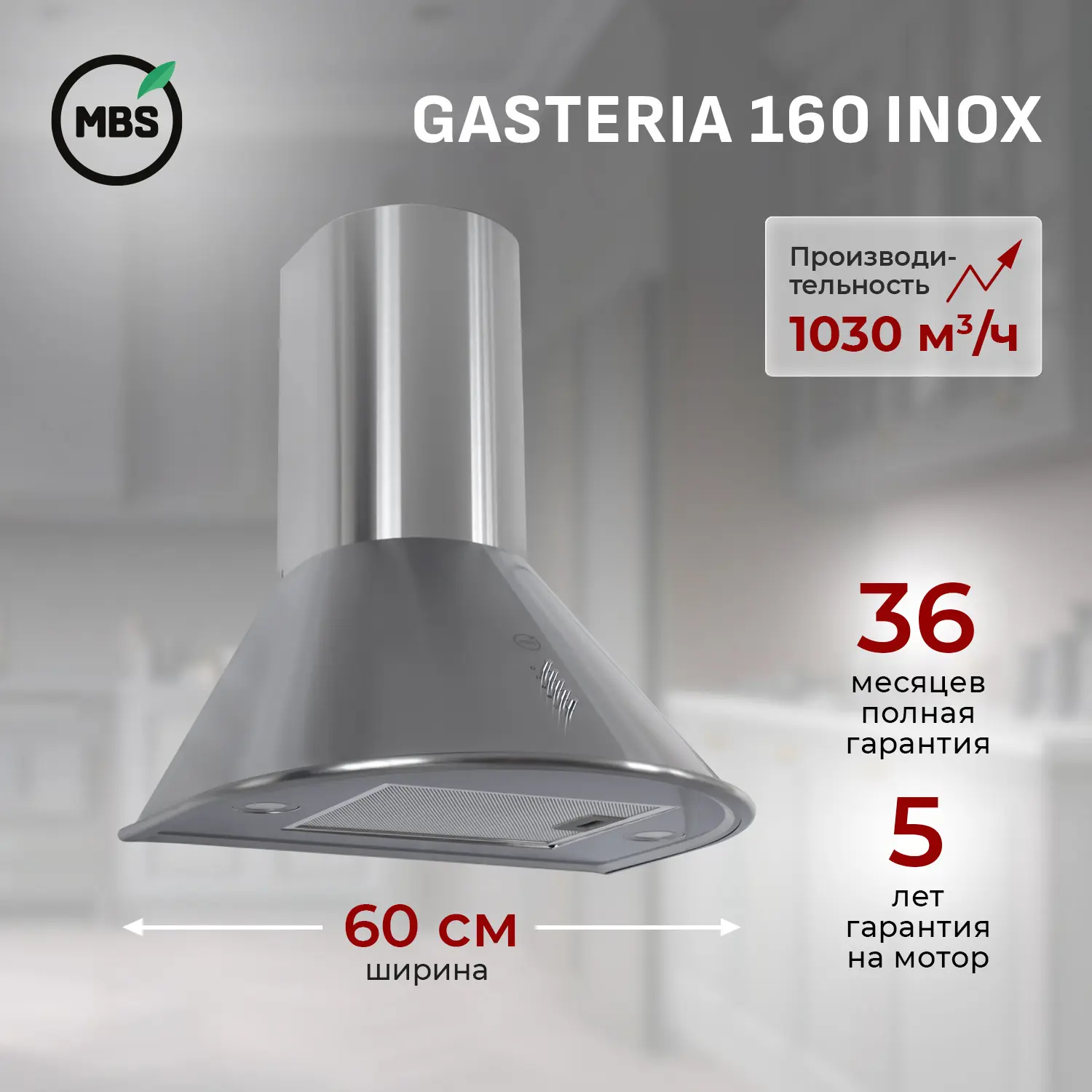 Изображение товара Вытяжка пристенная MBS GASTERIA 160 INOX