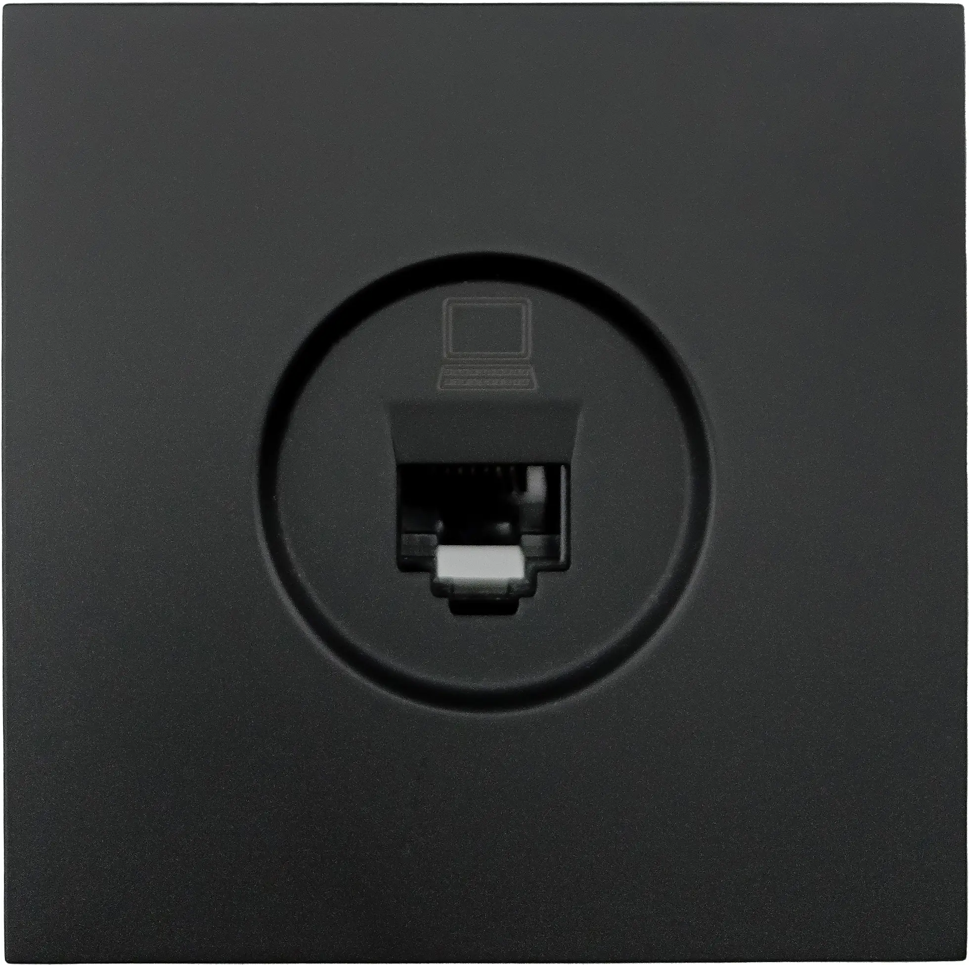Изображение товара Встраиваемая компьютерная розетка Lezard Zima черный бархат IP20