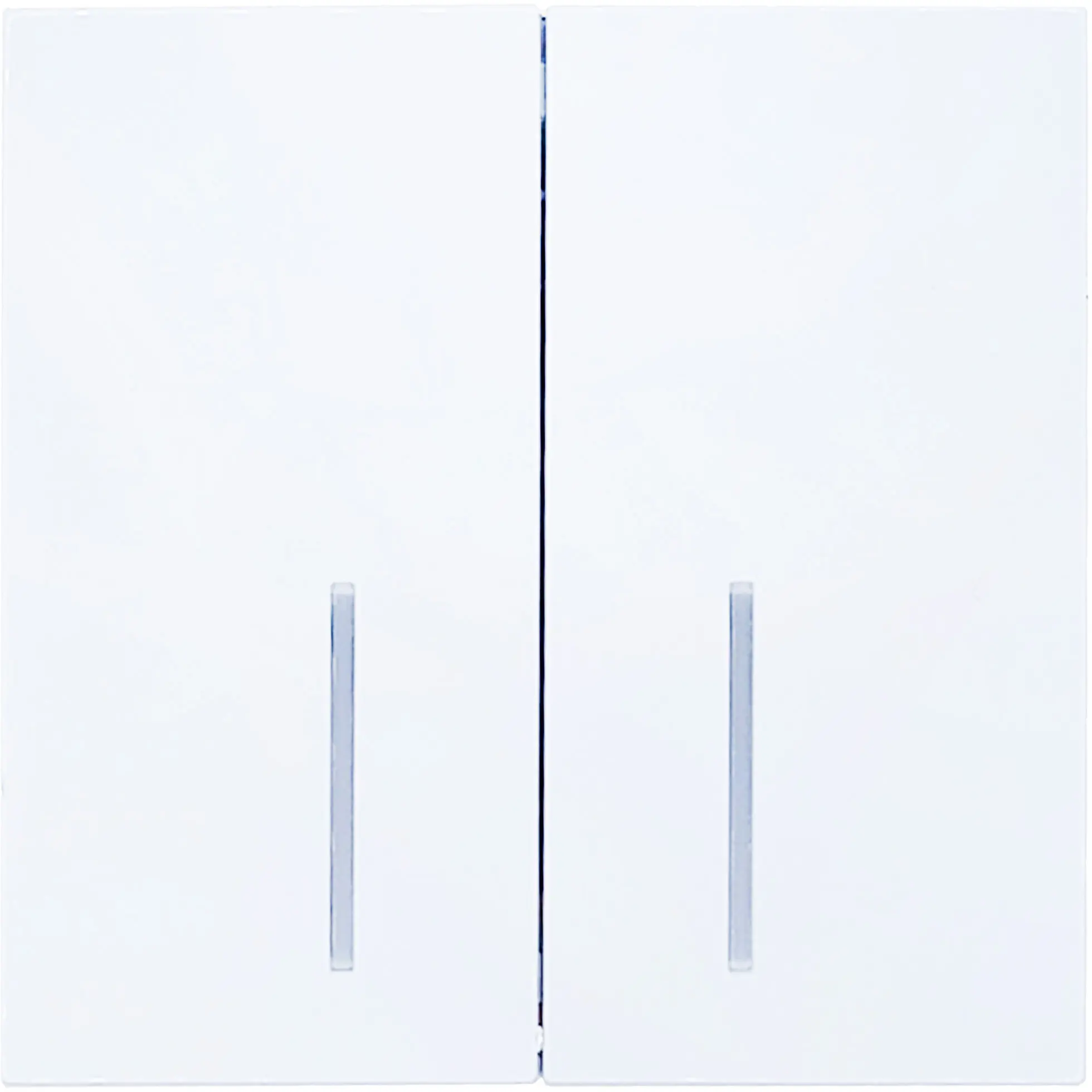 Изображение товара Выключатель встраиваемый Lezard Zima двухклавишный с подсветкой белый