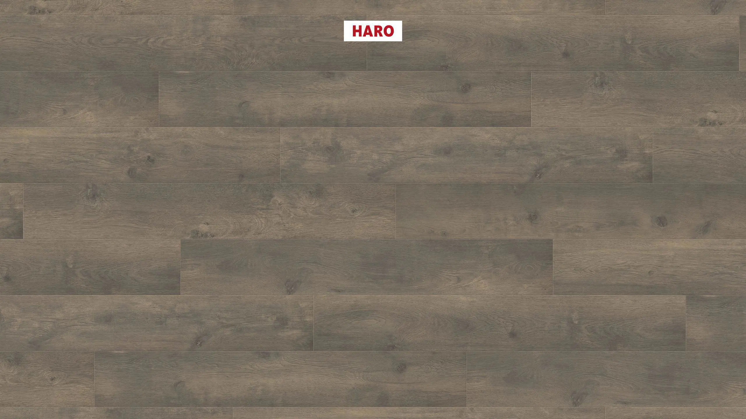 Изображение товара Ламинат Haro Дуб Бергамо Карбон 32 класс 8 мм