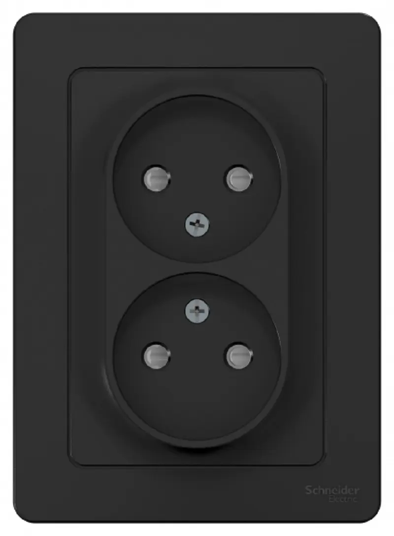 Изображение товара Розетка двойная встраиваемая Schneider Electric Blanca без заземления со шторками цвет антрацит 2 шт.