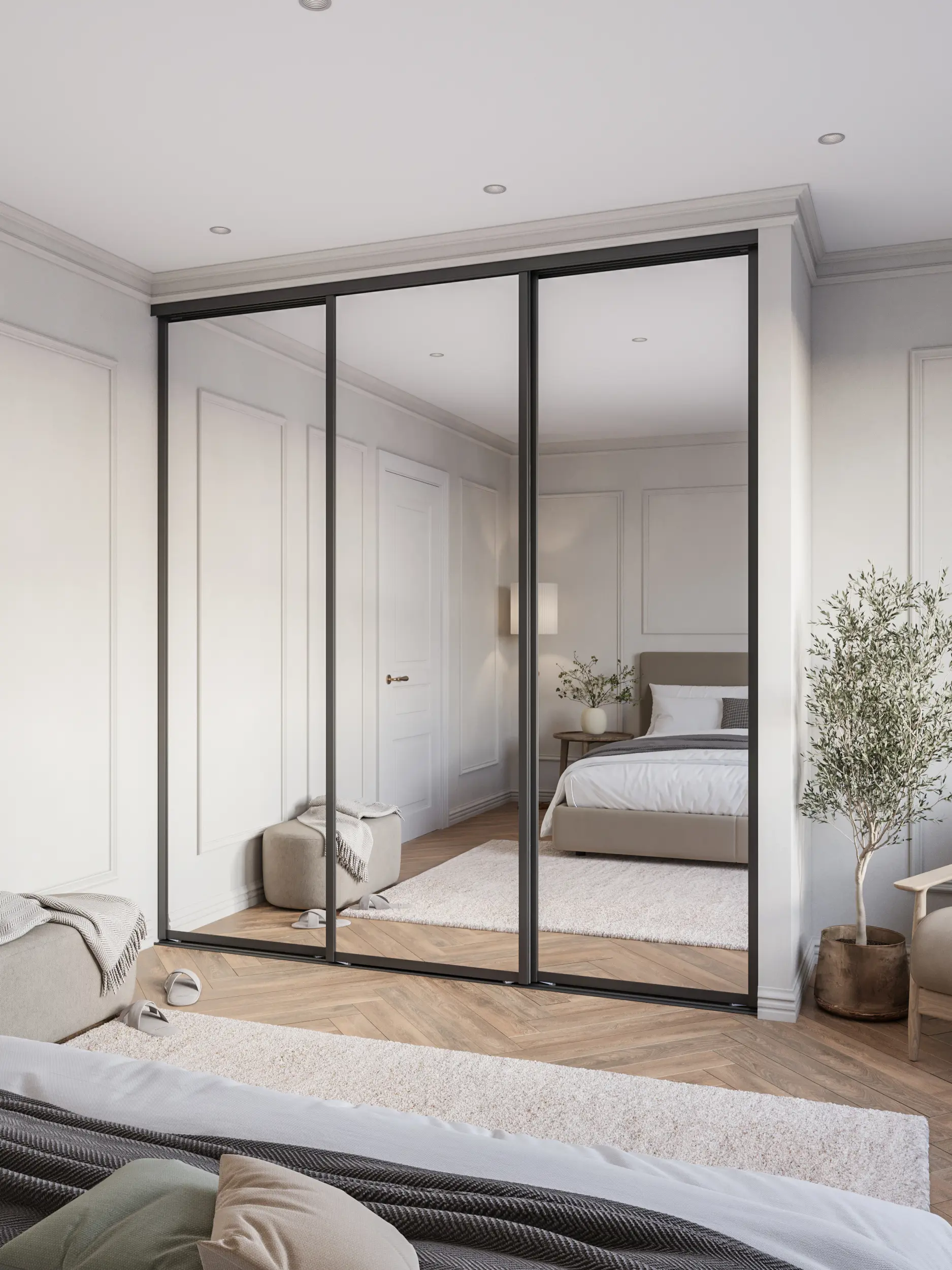 Изображение товара Дверь-купе DKP75/245.Z-55 с зеркалом и алюминиевым профилем