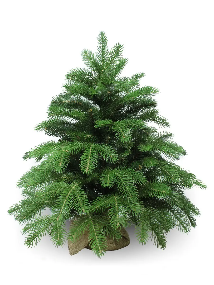 Изображение товара Искусственная ель Beatrees Anson 60см