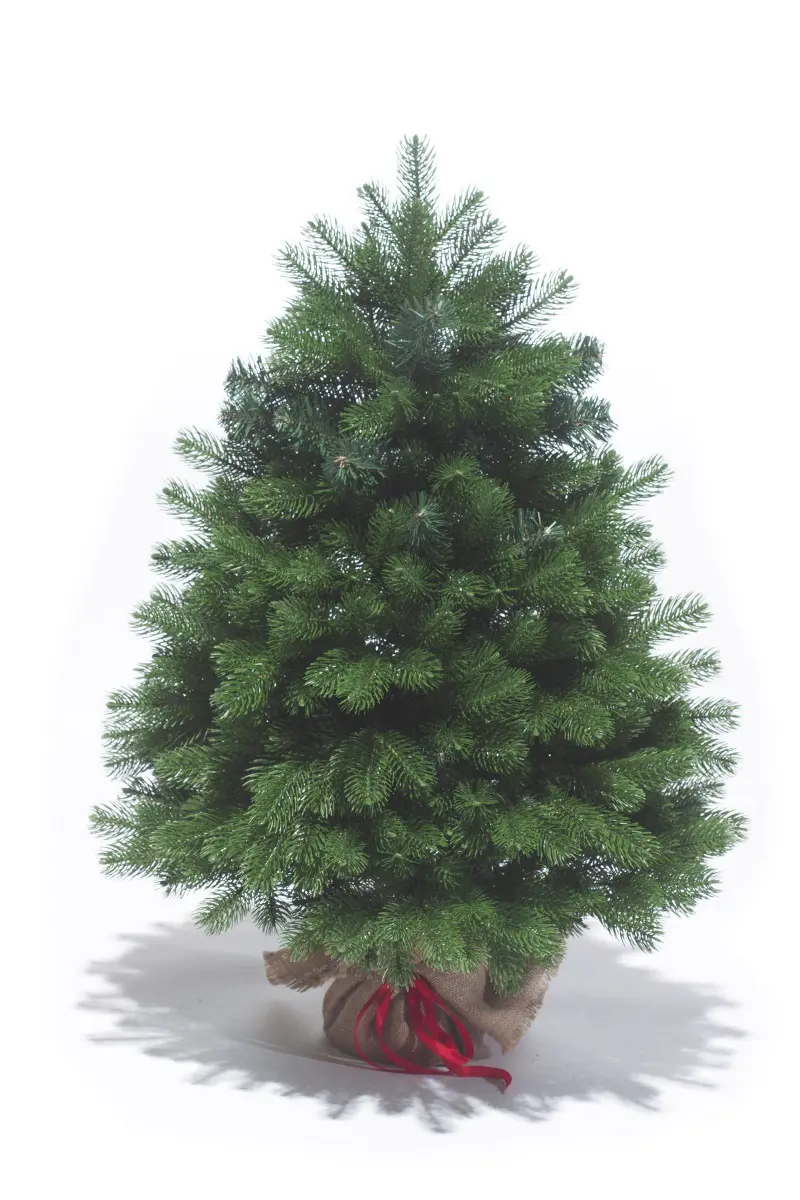 Изображение товара Ель новогодняя искусственная Elkade Баварская 90 см