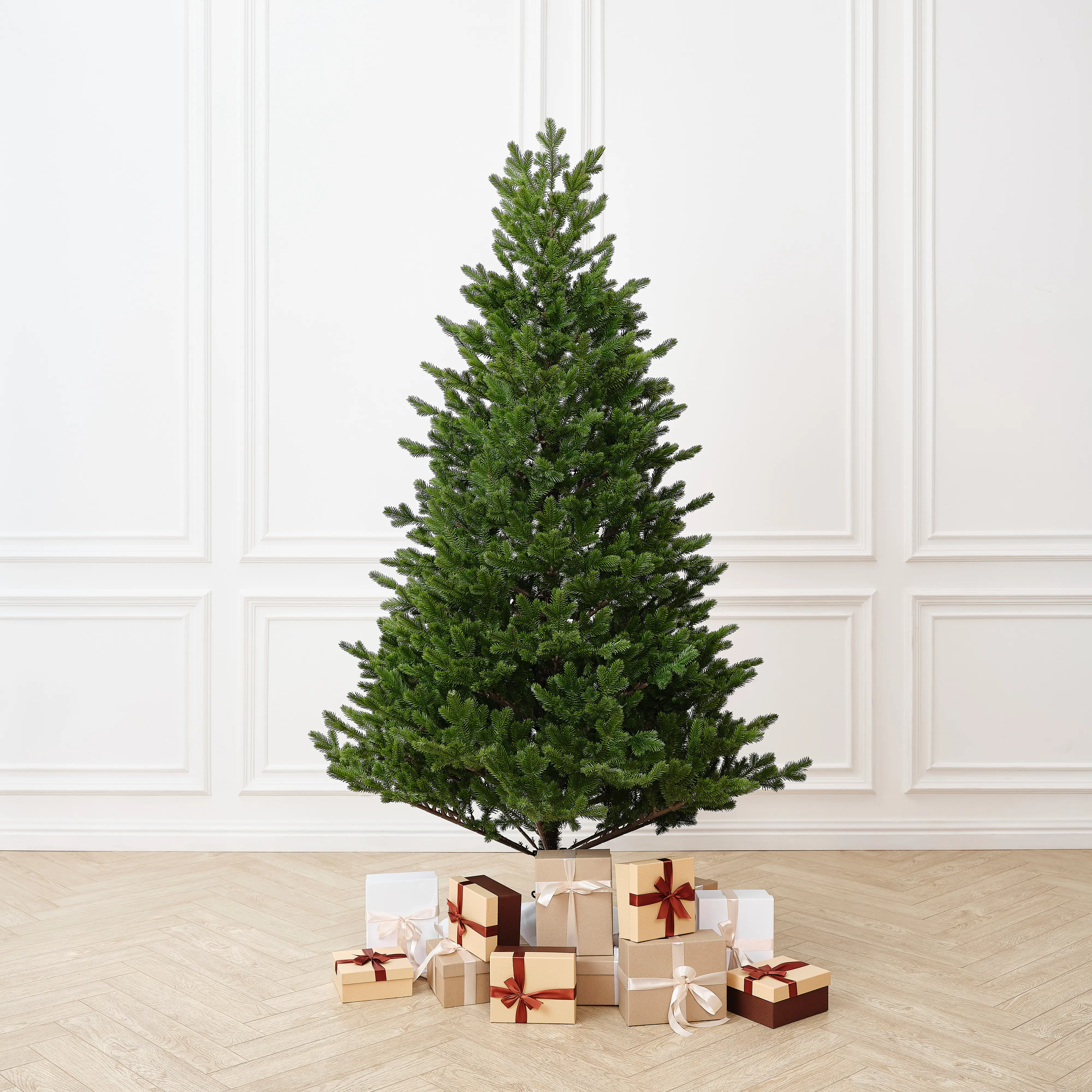 Изображение товара Ель новогодняя искусственная Binoshe Meribel 240 см