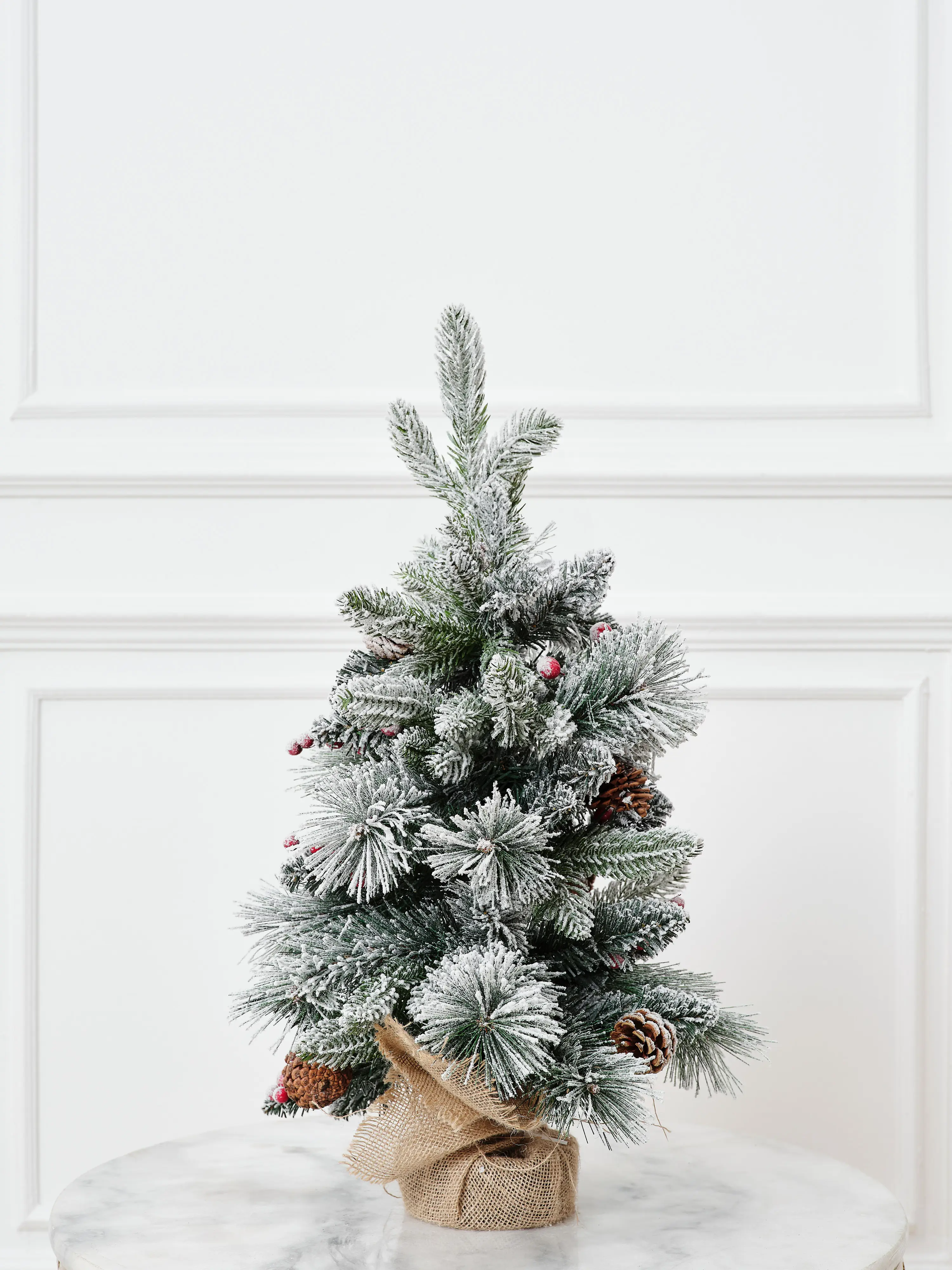 Изображение товара Ель новогодняя искусственная Binoshe Ryabina заснеженная 60 см