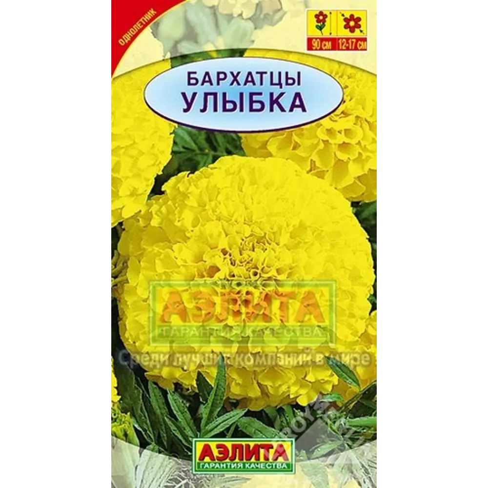 Фото Бархатцы Улыбка прямостоячие Фото Бархатцы Улыбка прямостоячие