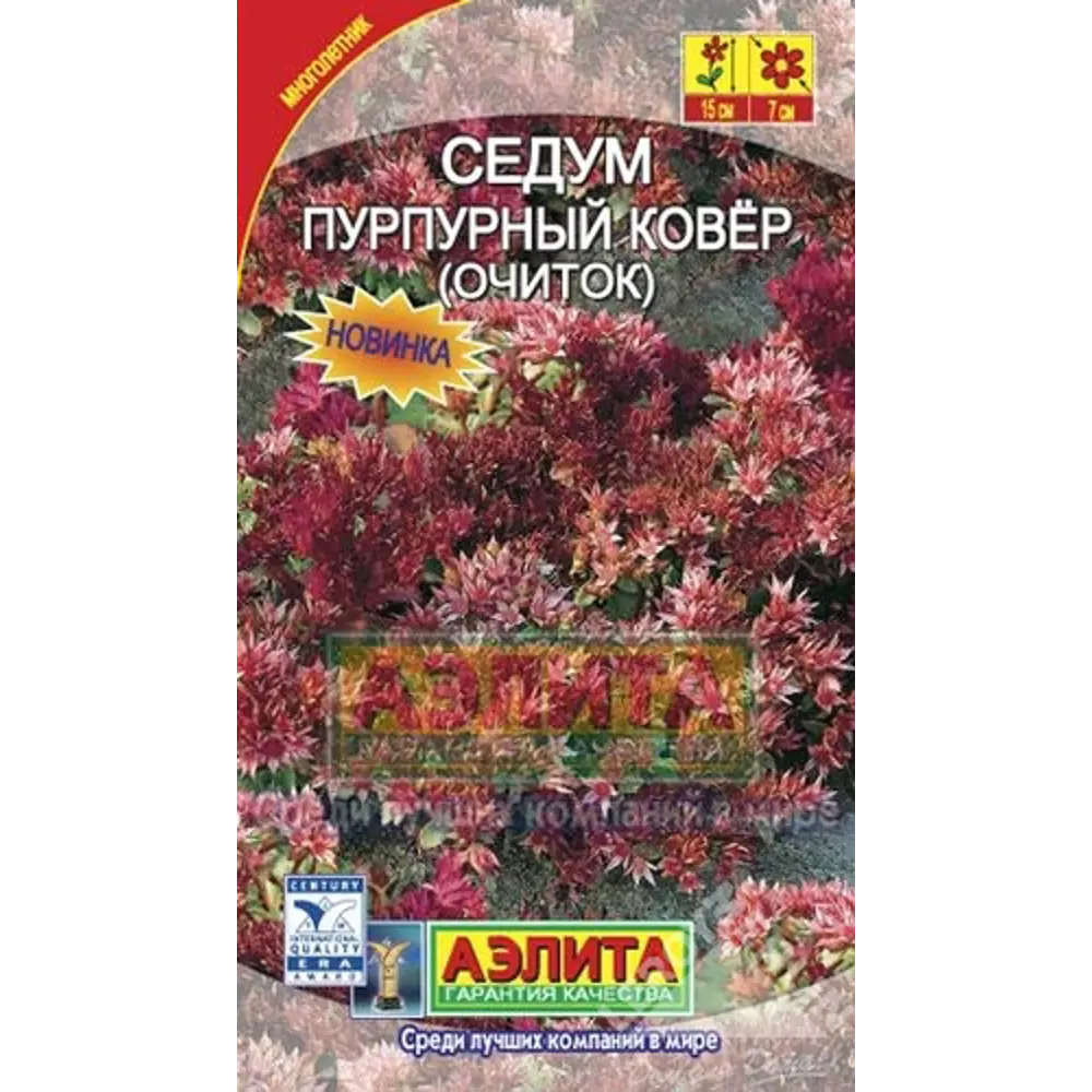 Фото Седум «Пурпурный ковер» Фото Седум «Пурпурный ковер»