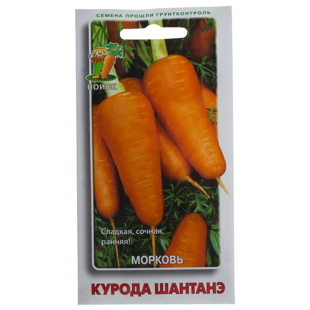 Фото Семена Морковь Курода шантанэ Поиск