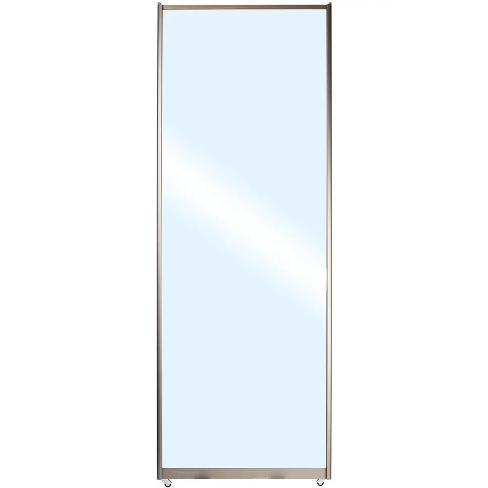 Фото Дверь-купе Spaceo 2555х604 мм зеркало Фото Дверь-купе Spaceo 2555х604 мм зеркало