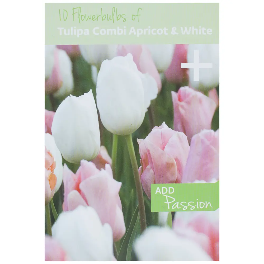 Фото 2 Тюльпаны абрикосово-белая комбинация