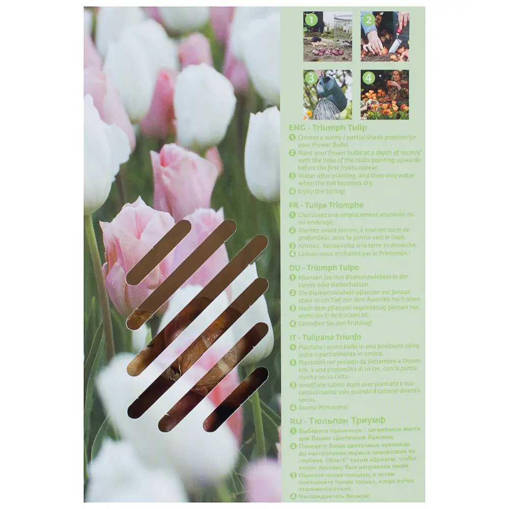 Фото 3 Тюльпаны абрикосово-белая комбинация