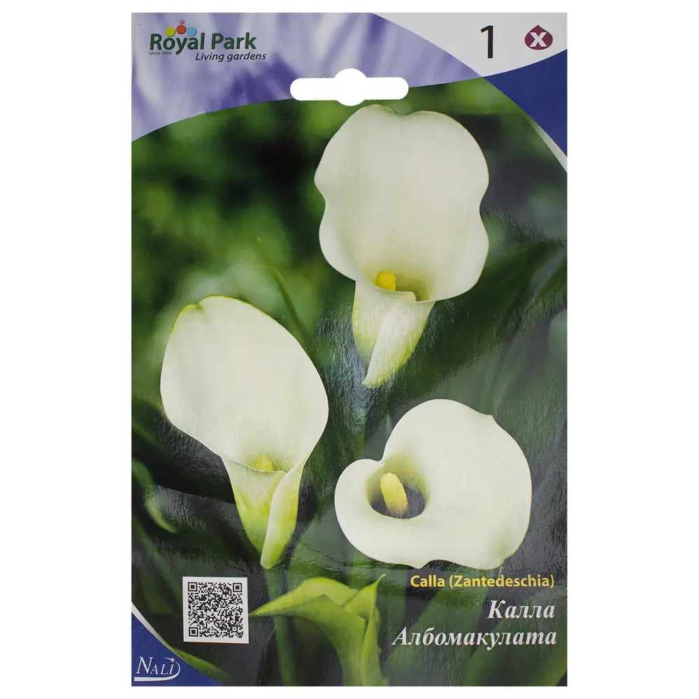 Фото Калла Албомакулата 14/+ (1) Фото Калла Албомакулата 14/+ (1)