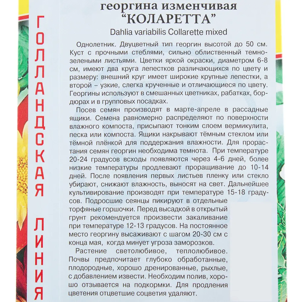 Фото 3 Семена цветов Георгина Коларетта смесь окрасок Престиж семена Фото 3 Семена цветов Георгина Коларетта смесь окрасок Престиж семена
