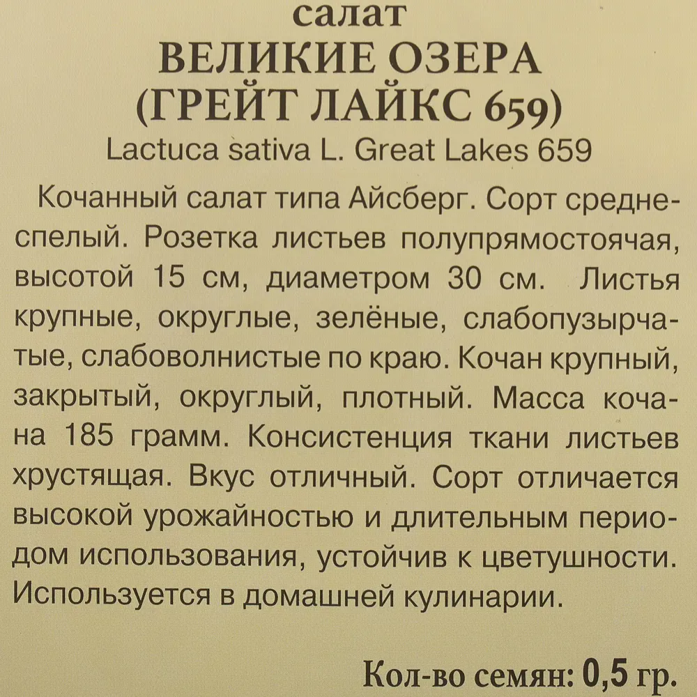 Фото 3 Семена Салат «Великие Озёра» Фото 3 Семена Салат «Великие Озёра»